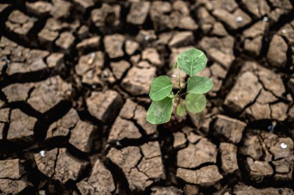 Webinaire : les enjeux de l’adaptation au changement climatique